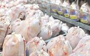 ذخیره سازی روزانه بیش از یکهزار تن مرغ گرم جهت تنظیم بازار