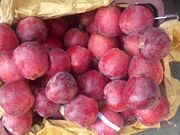 صادرات سیب به پاکستان آزاد شد