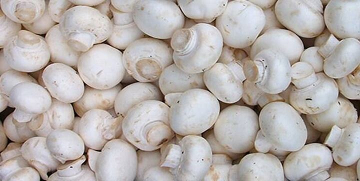 پیش‌بینی تولید ۱۸۵ هزار تن قارچ خوراکی در سال جاری