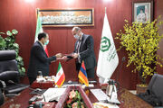 دیدار مدیرعامل بانک توسعه صادرات ایران با وزیر انرژی ارمنستان