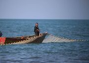 صید محاصره‌ای ماهیان تجاری در آب‌های ساحلی ممنوع است