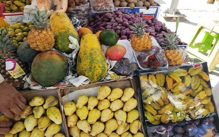 چرایی گران‌تر بودن میوه در تولیدکننده میوه ایران؛ قیمت‌های جیرفت را دریابید