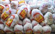 توزیع حداکثری گوشت مرغ در میادین، خرده‌فروشی‌ها و فروشگاه‌های اینترنتی