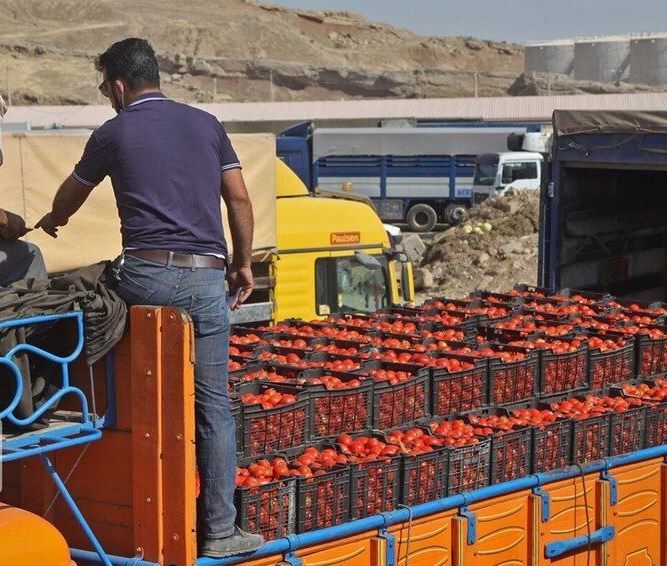 ۲۲۱ هزار و ۶۱۳ تن محصول کشاورزی امسال از قصرشیرین به عراق صادر شد