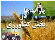 معاون وزیر جهاد: ۳۵۰۰ میلیارد تومان یارانه به بخش کشاورزی اختصاص یافت
