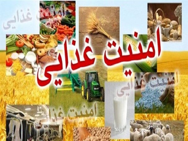 مشاور وزیر جهاد کشاورزی: تامین امنیت غذایی کشور با بی‌توجهی به کشاورزی روبرو است