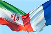 تاکید بر همکاری ایران با فرانسه در زمینه تعاونی‌ها