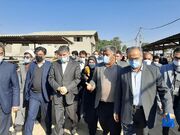وزیر جهادکشاورزی: نهاده دامی خام به کارخانه‌های فرآوری تحویل می‌شود