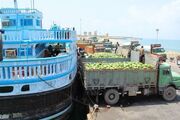 صادرات کالا از بندر جاسک به عمان ۳۰ میلیون دلار ارزآوری داشته است