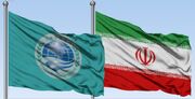 عضویت ایران در سازمان شانگهای در جهت خنثی‌سازی تحریم‌هاست/ اعضای شانگهای می‌توانند نظام‌های پولی متنوعی ایجاد کند