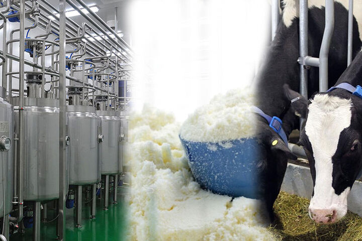رفع تعهد ارزی صادرکنندگان شیرخشک صنعتی/ کاهش ۵۰ درصدی تعهد ارزی سه میوه