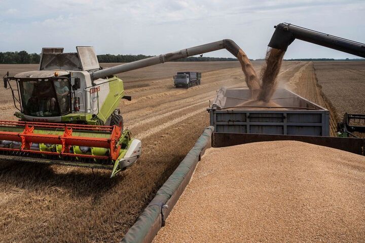 نرخ پیشنهادی خرید گندم ۱۷ هزار تومان/ نیاز کشور به ۱۴ میلیون تن گندم، درست نیست