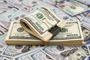 تداوم تثبیت نرخ دلار در مرکز مبادله ارز
