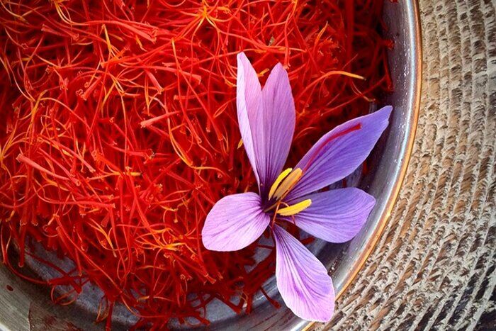 صادرات ۱۵۰ تنی زعفران در ۸ ماهه امسال/ پیش بینی تولید ۲۵۰ تن در سال جاری