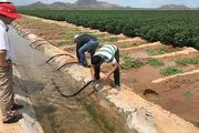 معاون وزیر جهادکشاورزی: ۵۰ درصد کانال انتقال آب در حوزه کشاورزی کشور استاندارد نیست