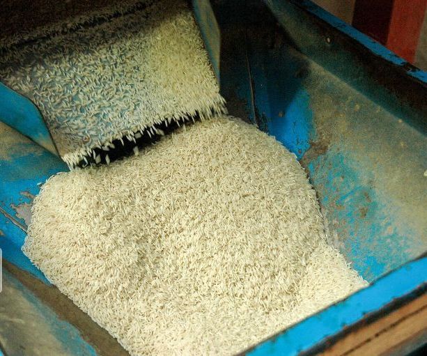 برنج پرمحصول کشاورزان به صورت تضمینی خریداری می‌شود