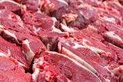 پیمان پاک: واردات گوشت به روزانه ۲۰۰ تن رسیده است