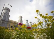 ترانزیت برق نیروگاه‌های خودتامین صنایع رایگان شد/ رشد ۱۱ درصدی تولید سیمان با همکاری دولت