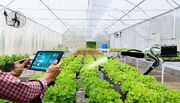 توسعه بخش کشاورزی در گرو بکارگیری فناوری‌های نو است