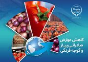 عوارض صادراتی پیاز و گوجه فرنگی کاهش یافت