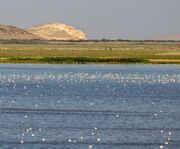 افزایش ۲۶ سانتی‌متری تراز دریاچه ارومیه نسبت به ابتدای سال آبی جاری