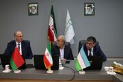 استاندار کرمان در دیدار سفرای بلاروس و ازبکستان: همکاری با خارجی‌ها مکمل است نه رقابتی