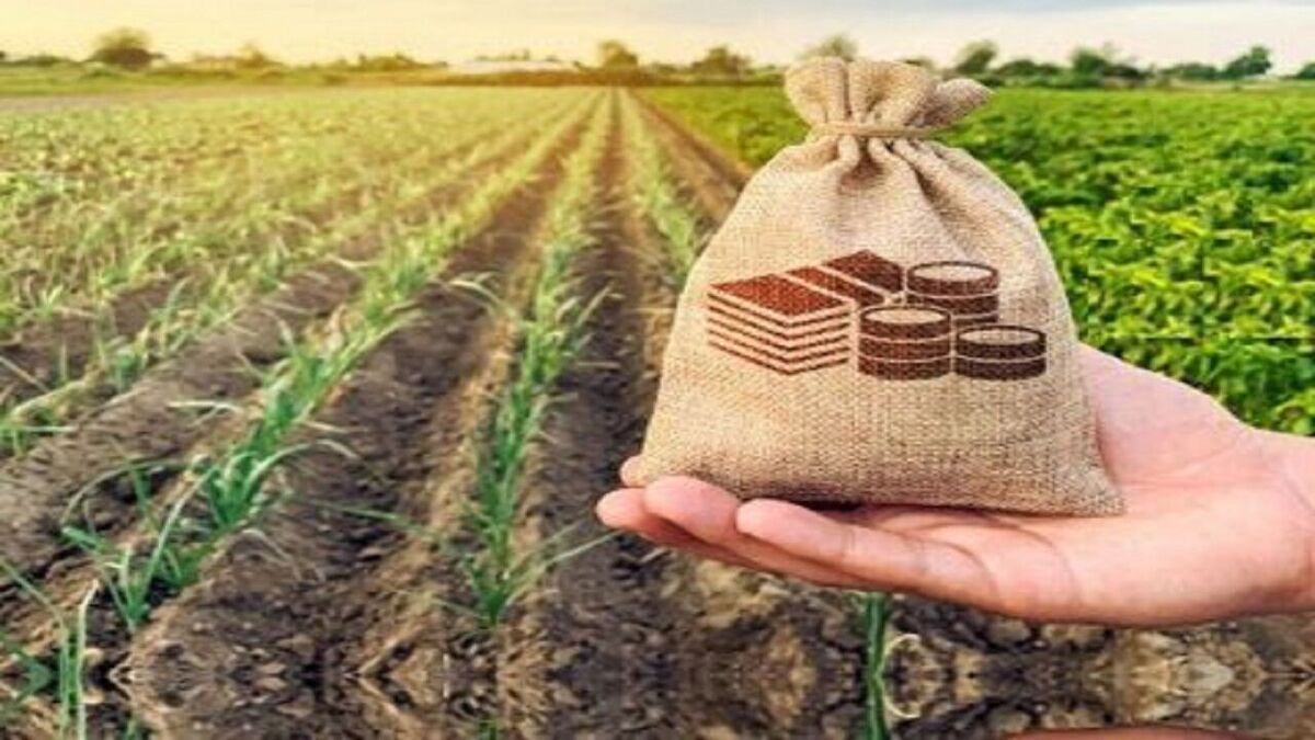۹.۷ همت حق بیمه تولیدی محصولات کشاورزی از ابتدای سال زراعی جاری تاکنون