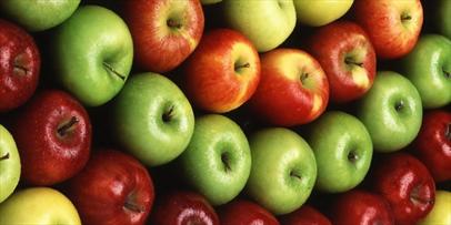 رتبه چهارم جهانی ایران در تولید سیب