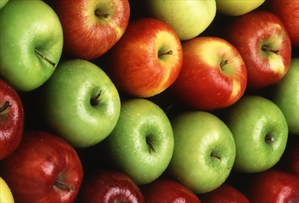 عدم صدور گواهی تراریخته؛ دلیل توقف صادرات سیب