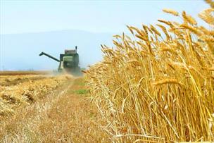 همکاری ایران و ایتالیا در بخش کشاورزی