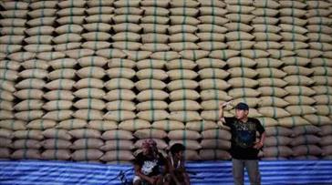 ۳۱ هزار تن برنج در گمرک بوشهر آماده ترخیص است