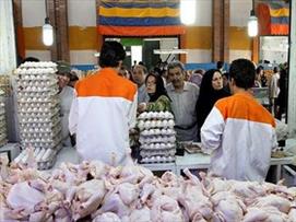 صادرات مرغ و تخم‌مرغ به کویت آزاد شد/ آنفولانزا فوق حاد پرندگان مشاهده نشده است