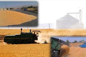 وزیر جهاد کشاورزی: استان‌های مرزی از قاچاق گندم جلوگیری کنند