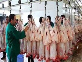 واردات نخستین محموله گوشت قرمز تازه از قرقیزستان به ایران