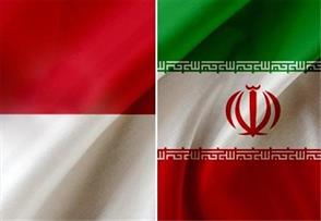 صادرات غیرنفتی ایران به اندونزی ۲۵ درصد رشد داشته است