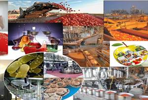 کنسرسیوم صادراتی صنایع غذایی تشکیل می‌شود