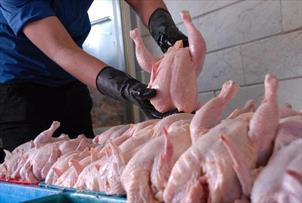 افزایش میزان واردات مرغ با ارز ترجیحی به ۱۲۰ هزار تن