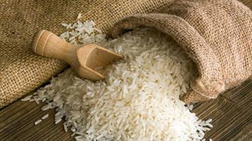 واردات برنج آزاد شد