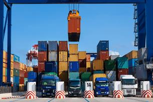 سازمان توسعه تجارت از افزایش صادرات کشورمان به کنیا و تونس خبرداد