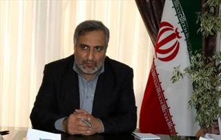 توسعه صادرات گندم ایران در دستور بازارهای جهانی