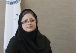 برنامه نویسی و توسعه نامتوازن در اقتصاد ایران