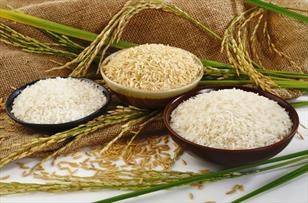 کشور از مزیت کاهش تعرفه واردات برنج بهره مند شد