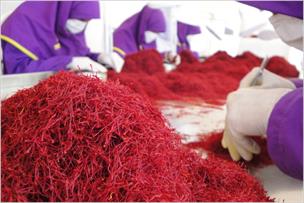اختلاف ۷۰۰ هزار تومانی زعفران در بازار