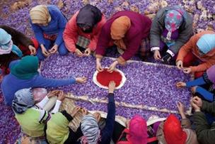 صادرات زعفران با بارکد چهاربعدي