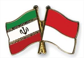 وزیر دارایی اندونزی بر توسعه همکاری بین المللی با ایران تاکید کرد