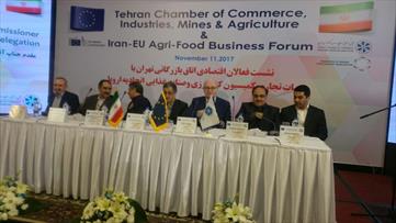 ۴۰ شرکت تجاری از اتحادیه اروپا در تهران حاضر شدند