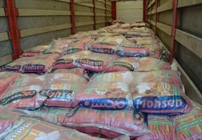 آخرین شرایط واردات برنج اعلام شد