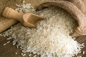 تخصیص ارز برای واردات ۱۰۰ هزارتن برنج به مرحله اجرا درآمد