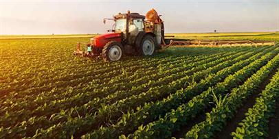 صادرات محصولات کشاورزی با پلاسمای سرد افزایش می یابد.