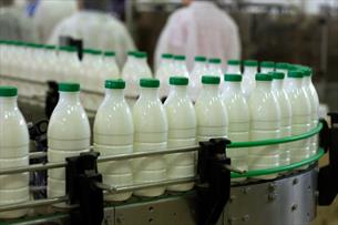 اختصاص یارانه، راهکار افزایش سرانه مصرف شیر در جامعه
